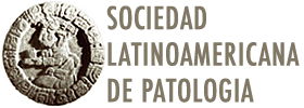 SLAP Logo